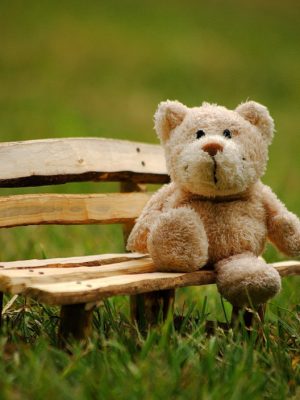 Child nonverbal IQ measures